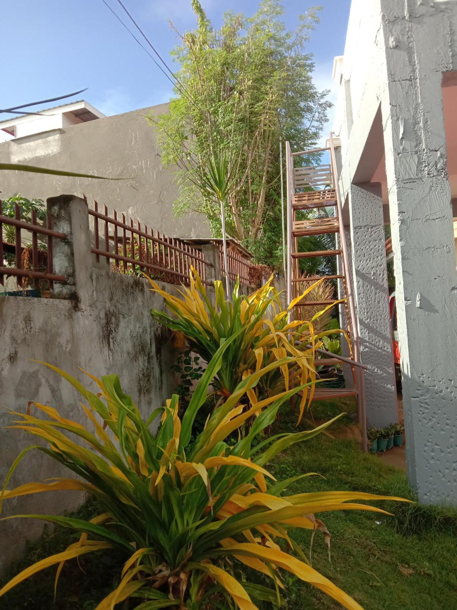 Friz Love Room Rental San Juan  Extérieur photo